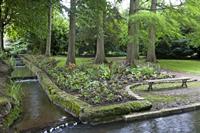 Cjp_2012_06_26_131856.jpg