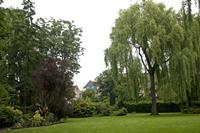 Cjp_2012_06_26_132228.jpg