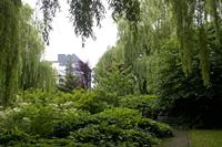 Cjp_2012_06_26_132308.jpg