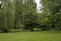 Cjp_2012_06_26_132432.jpg