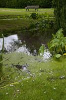Cjp_2012_06_26_132610.jpg