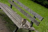 Cjp_2012_06_26_133154.jpg