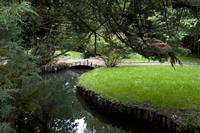 Cjp_2012_06_26_133404.jpg