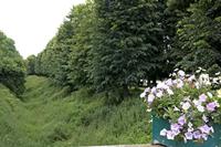 Cjp_2012_06_26_140932.jpg