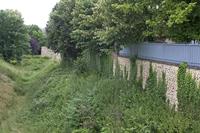 Cjp_2012_06_26_141042.jpg