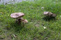 Cjp_2012_06_27_052344.jpg