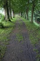 Cjp_2012_06_27_054458.jpg