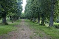 Cjp_2012_06_27_054808.jpg