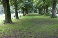 Cjp_2012_06_27_055212.jpg