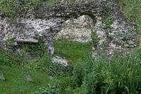Cjp_2012_06_27_055800.jpg