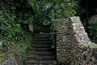 Cjp_2012_06_27_061108.jpg
