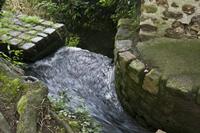 Cjp_2012_06_27_061136.jpg