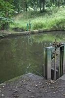 Cjp_2012_06_27_061248.jpg