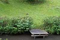 Cjp_2012_06_27_061700.jpg