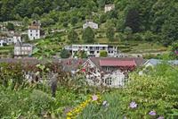Cjp_2012_08_22_120738.jpg
