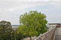 Cjp_2012_08_23_133402.jpg
