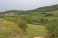 Cjp_2012_08_23_165908.jpg