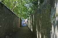 Cjp_2012_09_17_123316.jpg