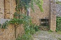 Cjp_2012_09_18_092114.jpg