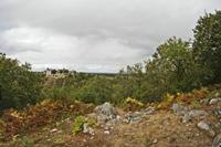 Cjp_2012_09_18_132244.jpg