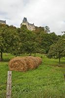 Cjp_2012_09_18_134652.jpg