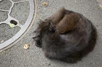 Cjp_2012_09_18_150138.jpg