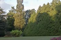 Cjp_2012_09_19_061500.jpg