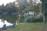 Cjp_2012_09_19_062744.jpg
