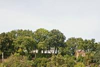 Cjp_2012_09_20_115614.jpg