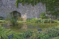 Cjp_2012_09_20_142024.jpg