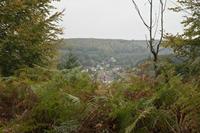 Cjp_2012_10_15_092100.jpg