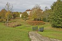 Cjp_2012_10_16_084948.jpg