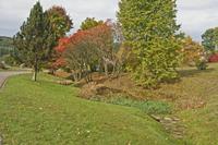 Cjp_2012_10_16_085142.jpg