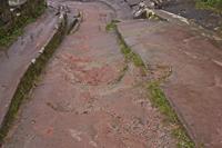 Cjp_2012_10_16_135700.jpg