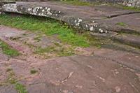Cjp_2012_10_16_135850.jpg