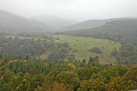 Cjp_2012_10_16_141926.jpg