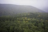 Cjp_2012_10_16_142108.jpg