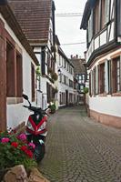 Cjp_2012_10_17_065830.jpg