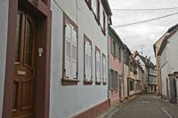 Cjp_2012_10_17_070242.jpg