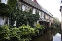 Cjp_2012_10_17_071738.jpg