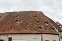 Cjp_2012_10_17_072622.jpg