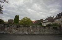 Cjp_2012_10_17_073116.jpg