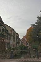Cjp_2012_10_17_082730.jpg
