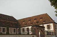 Cjp_2012_10_17_083450.jpg