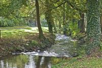 Cjp_2012_10_17_084256.jpg