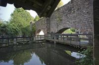 Cjp_2012_10_17_085804.jpg