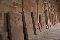 Cjp_2012_10_17_091428.jpg