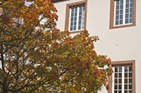 Cjp_2012_10_17_092202.jpg