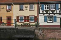 Cjp_2012_10_17_093904.jpg
