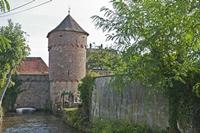 Cjp_2012_10_17_100536.jpg
